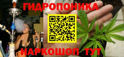 гидропоника Заводоуковск