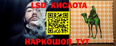 гидропоника Заводоуковск